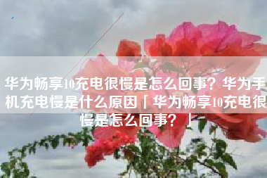 华为畅享10充电很慢是怎么回事?华为手机充电慢是什么原因「华为畅享10充电很慢是怎么回事?」
