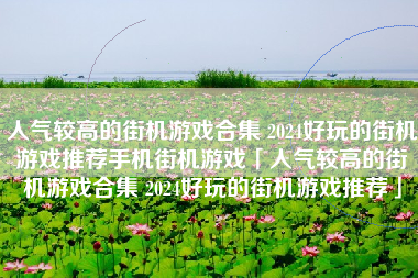 人气较高的街机游戏合集 2024好玩的街机游戏推荐手机街机游戏「人气较高的街机游戏合集 2024好玩的街机游戏推荐」